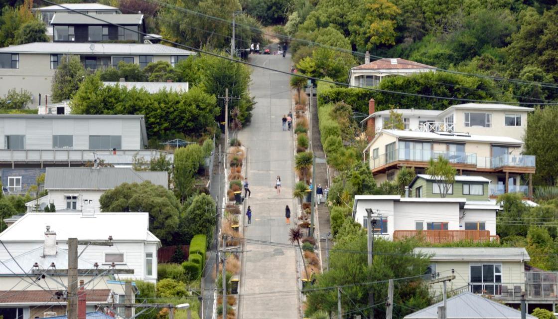 Sleep On The Steepest Street In The World! Bed and Breakfast Dunedin Buitenkant foto