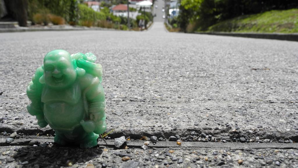 Sleep On The Steepest Street In The World! Bed and Breakfast Dunedin Buitenkant foto