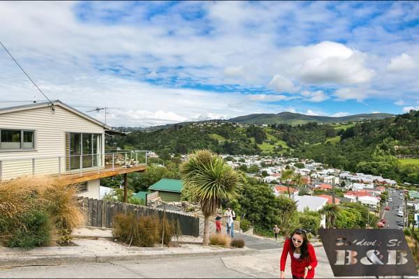 Sleep On The Steepest Street In The World! Bed and Breakfast Dunedin Buitenkant foto