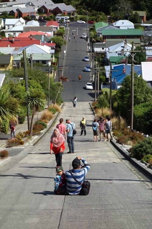 Sleep On The Steepest Street In The World! Bed and Breakfast Dunedin Buitenkant foto