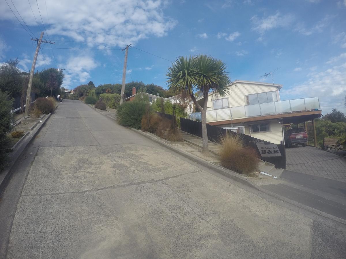 Sleep On The Steepest Street In The World! Bed and Breakfast Dunedin Buitenkant foto